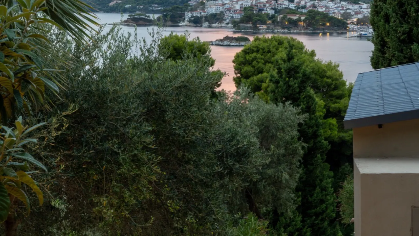 Skiathos Town across the water at dusk, seen through the olive trees
